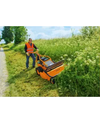 AS 901 SM Broyeur à fléeaux