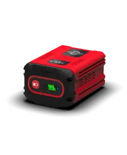 Batterie 82V290P Cramer
