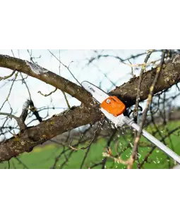Perche d'élagage HT 56 C-E STIHL