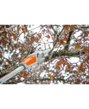 Perche d’élagage à batterie HTA 50 STIHL