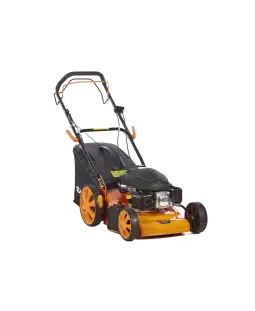Tondeuse thermique CC246T ANOVA