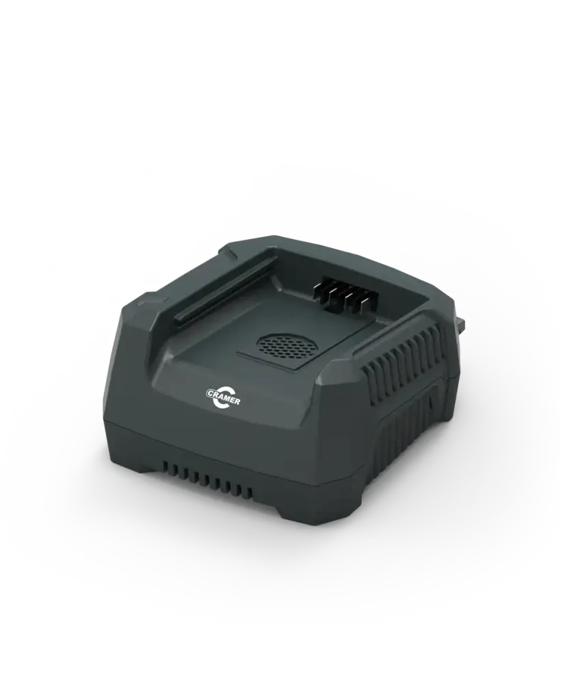 Chargeur 82C1G