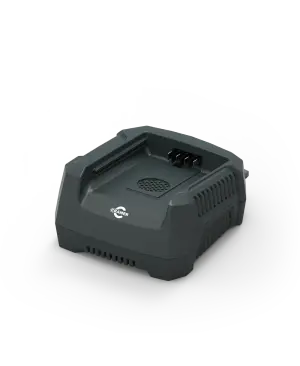 Chargeur 82C1G