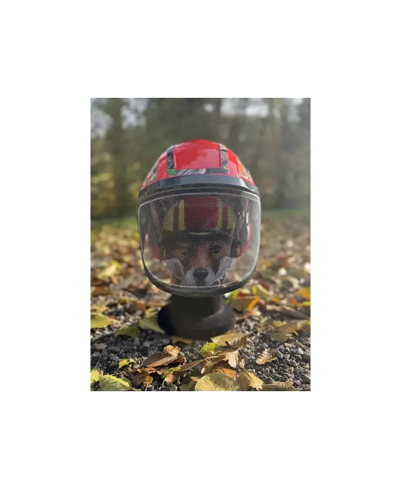 Casque Protos Foxi