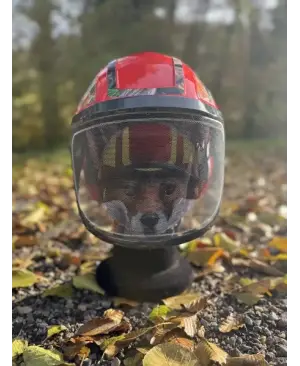 Casque Protos Foxi