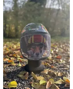 Casque Protos Foxi